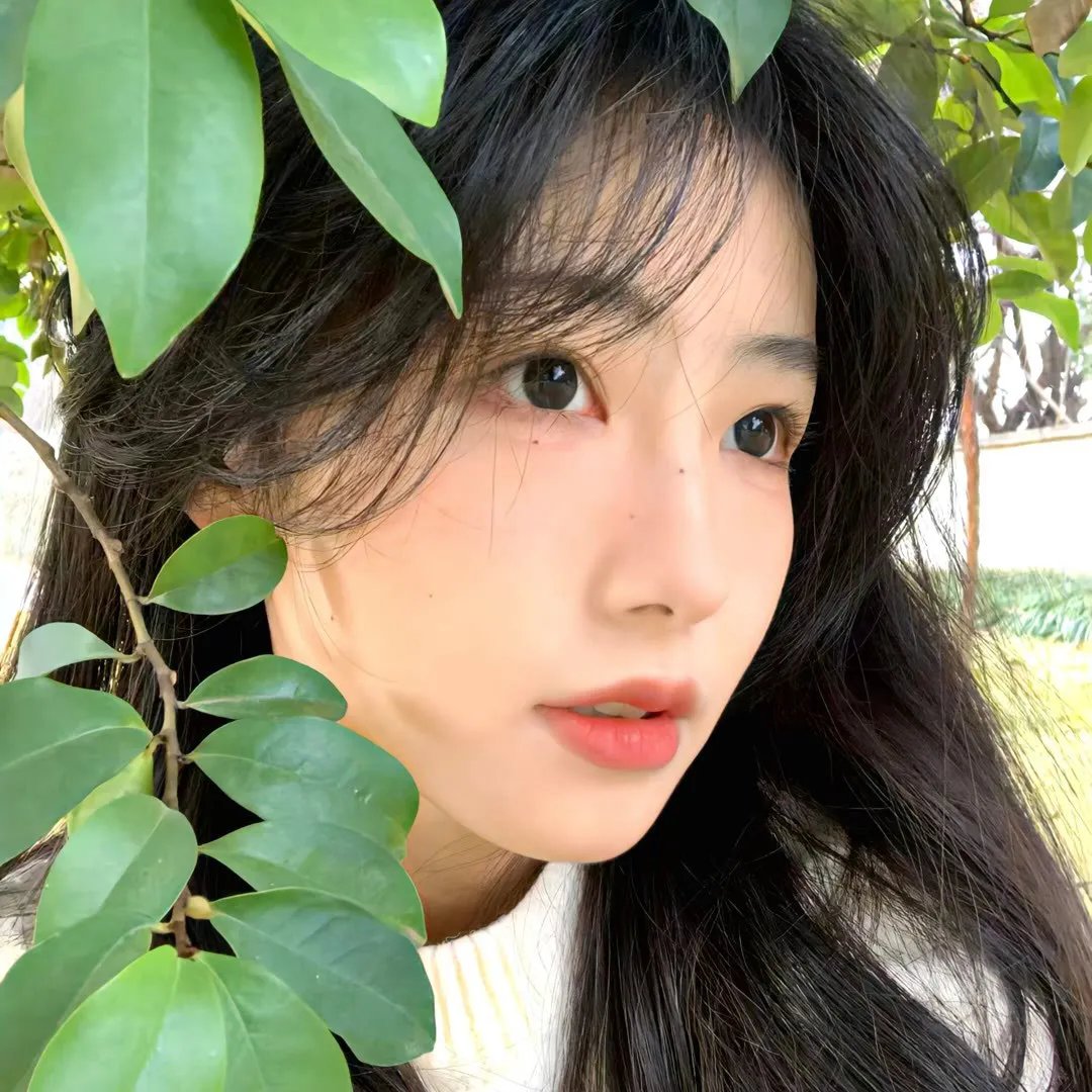 银城尤物